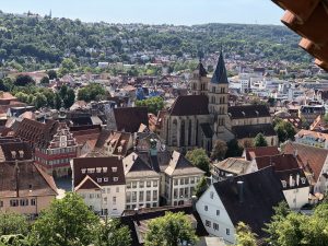 Blick auf Esslingen